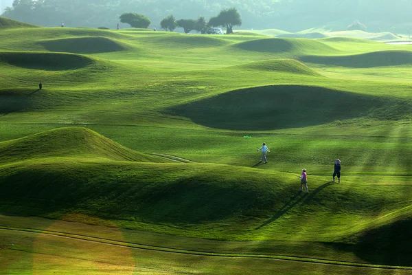 Golfplatz mit schönem Grün — Stockfoto