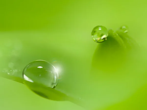 Kapka vody s pěkné zelené — Stock fotografie