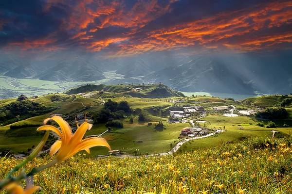 Daglelie bloem op zestig Stone Mountain in Taiwan Hualien festival — Stockfoto