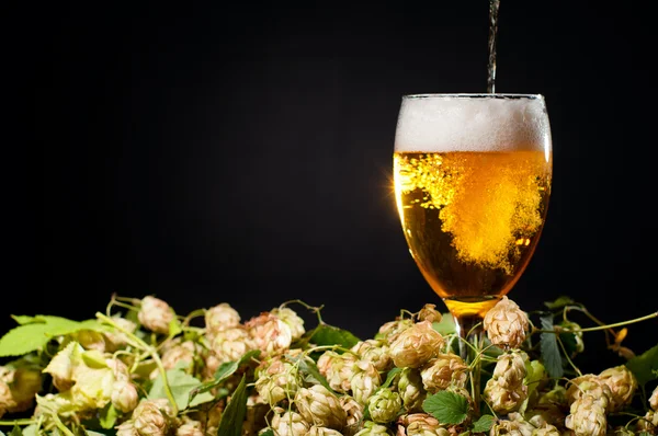 stock image Beer flowing in glass with hop