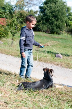 küçük boyt açık havada köpekle oynar