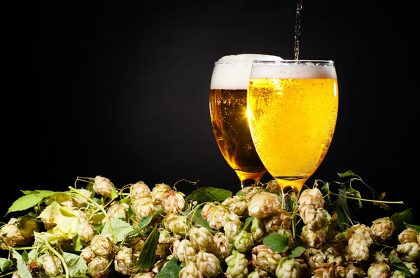 Two glasses of beer flowing with hop — Stock Photo, Image