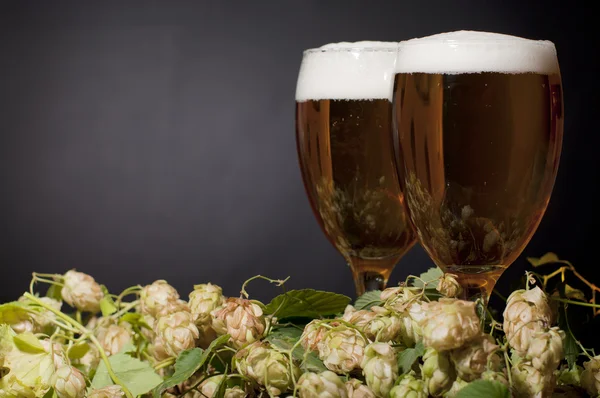 stock image Two glasses of beer froth with hop