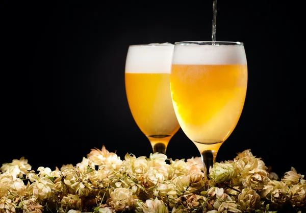 Zwei Gläser Bier fließen mit Hopfen — Stockfoto