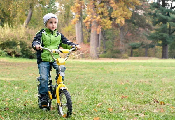 Küçük çocuk binicilik bisiklet açık havada çayır — Stok fotoğraf