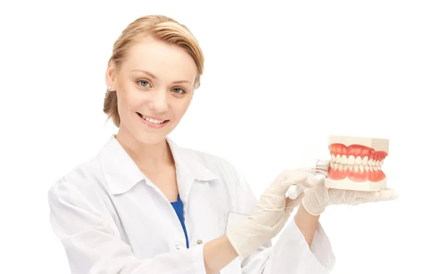 Médico con cepillo de dientes y mandíbulas —  Fotos de Stock