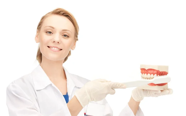 Doctor with toothbrush and jaws — Stock Photo, Image
