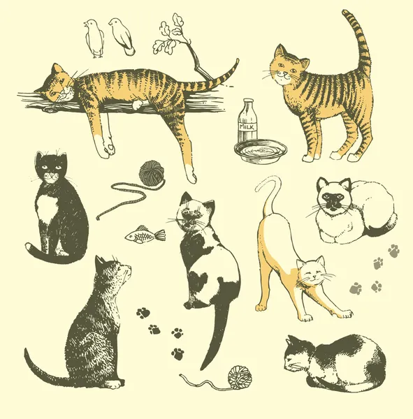 Gatos de época . — Archivo Imágenes Vectoriales