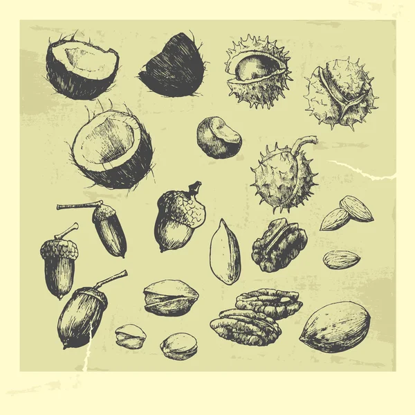 The nuts set — Archivo Imágenes Vectoriales