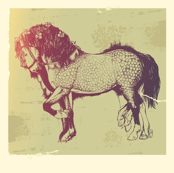 Андалузская лошадь . — стоковый вектор