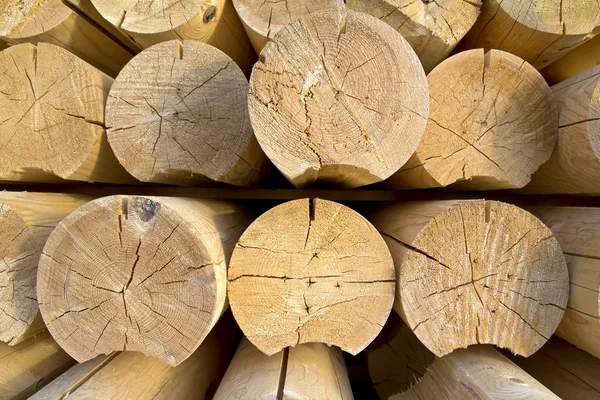 Fresh wood — Stock Photo, Image