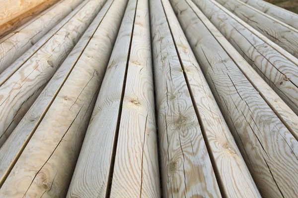Madeira logs textura — Fotografia de Stock