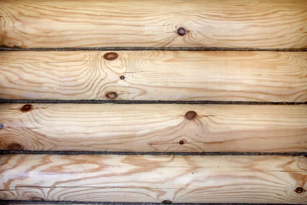 Holzstämme Textur — Stockfoto