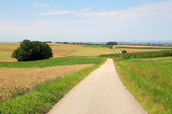 stock image Road in fields