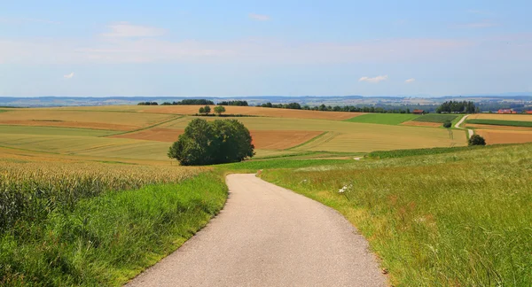 stock image Summer road