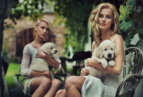 Twee schattige blondie knuffelen puppies — Stockfoto