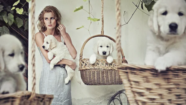 Chica bonita con cachorros — Foto de Stock