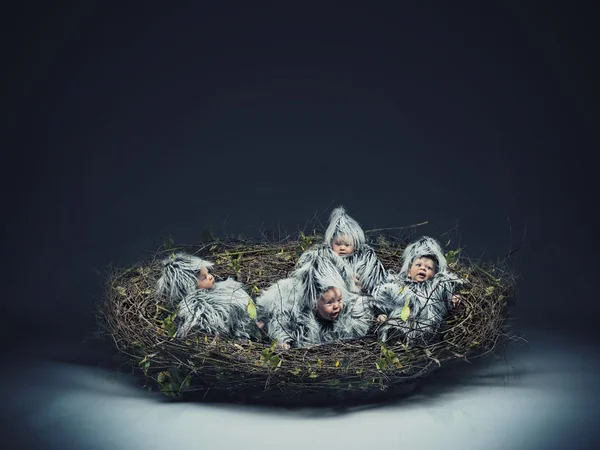 Conceptual photo of a nestling child — Stock Photo, Image