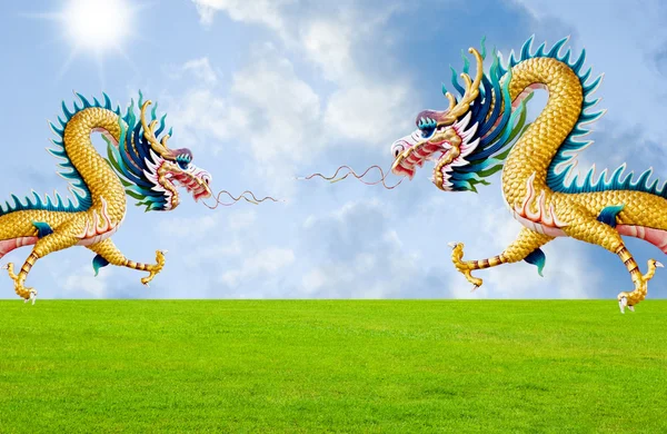 Zlatý drak letí nad poli — Stock fotografie