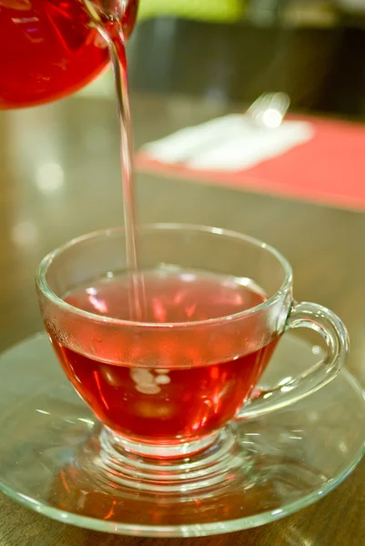 Varmt te i koppen — Stockfoto