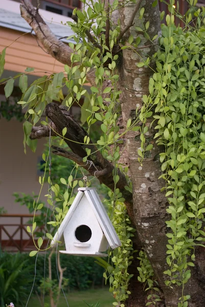 Vogel huis opknoping op boom — Stockfoto