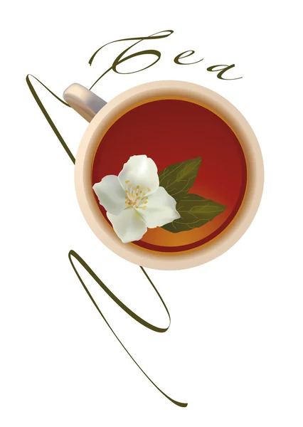 Chá com jasmim —  Vetores de Stock