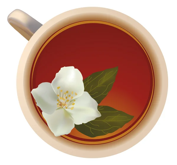 Tea with jasmin — Stock Vector