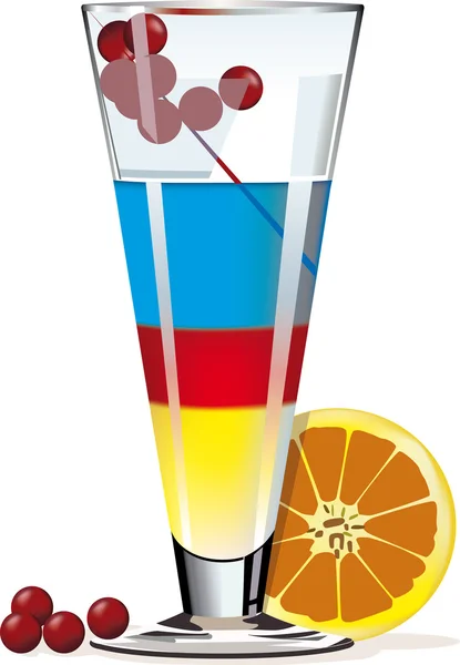 Koktejl v skla s citrusy — Stockový vektor