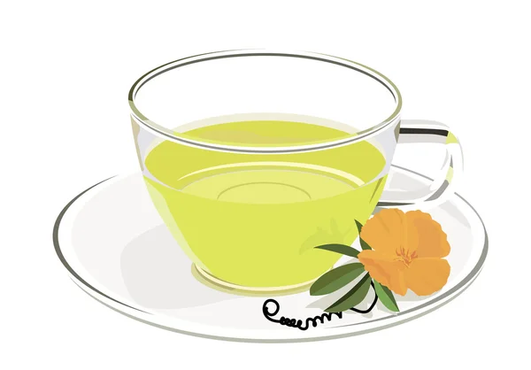 हिरवा चहा — स्टॉक व्हेक्टर