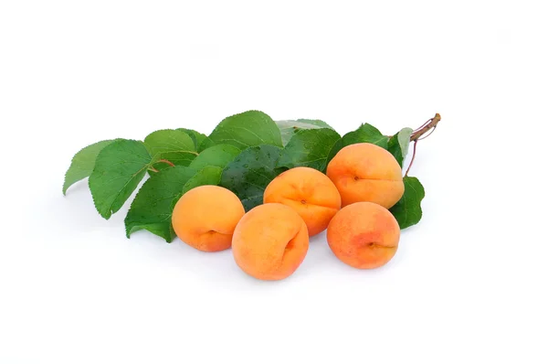Fresh apricot — Stock Photo, Image