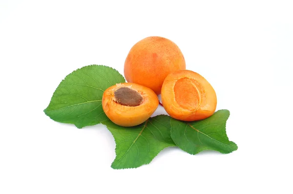 鲜杏 — 图库照片