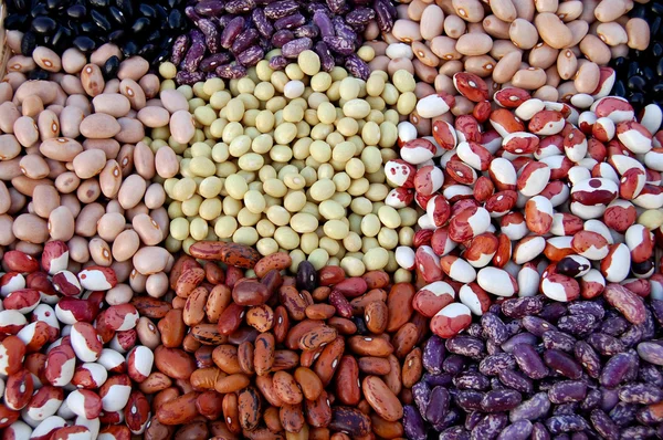 다채로운 콩 — 스톡 사진