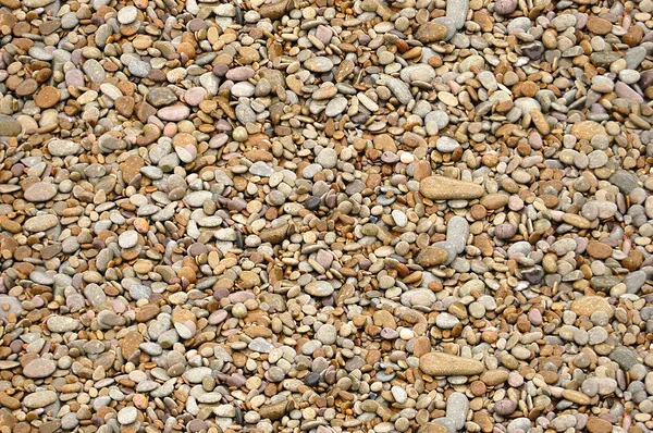 Lekerekített apró kövek — Stock Fotó