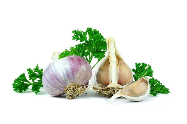 Stock image Garlic and Herbes