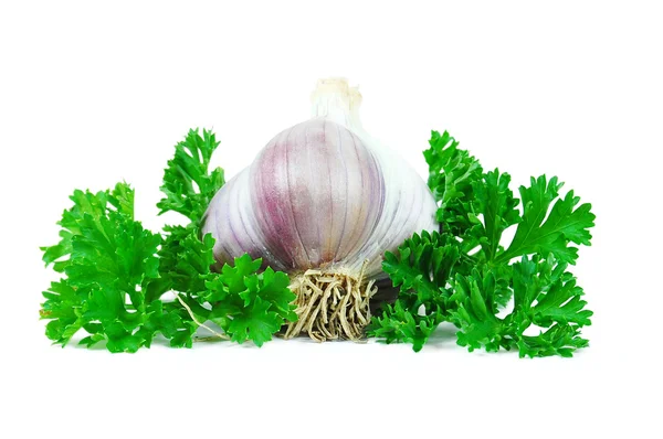 stock image Garlic and Herbes