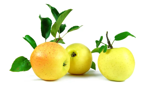 Olgun sarı elma — Stok fotoğraf