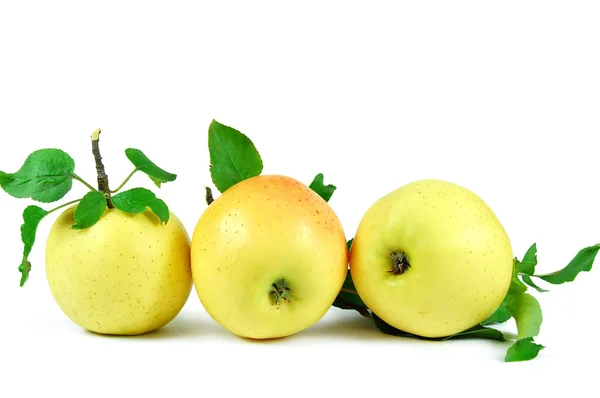 Manzanas amarillas —  Fotos de Stock