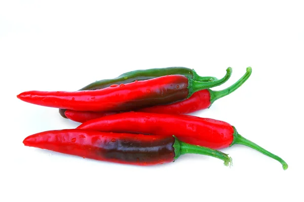 stock image Red hot chili Pepper