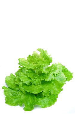 Green salad clipart