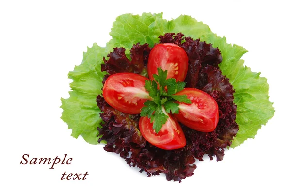 Zelený salát a plátky rajčat — Stock fotografie