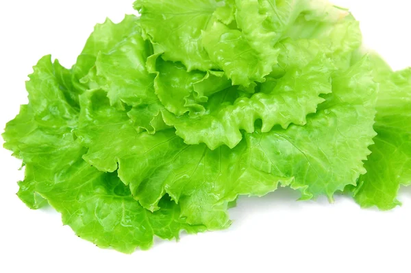 Salada verde — Fotografia de Stock