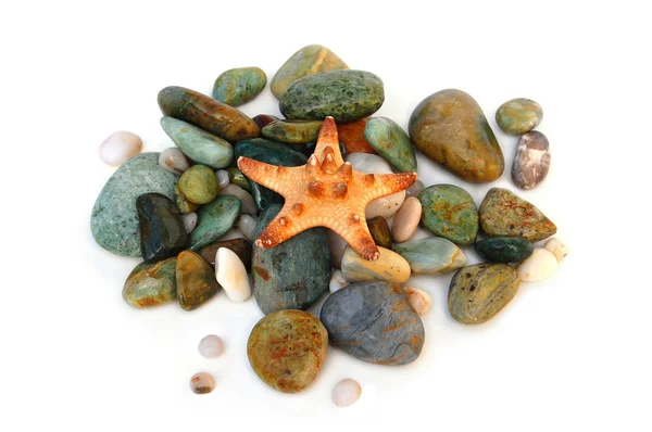 Морська зірка по каменю — стокове фото