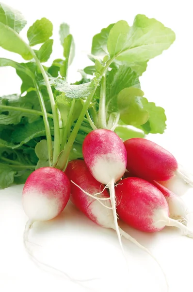 stock image Fresh red radish