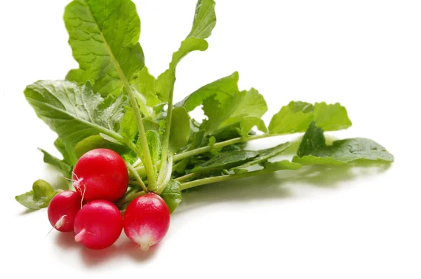 Fresh red radish — Stock Photo, Image