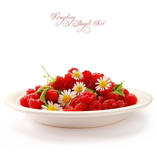 Aardbeien op plate — Stockfoto