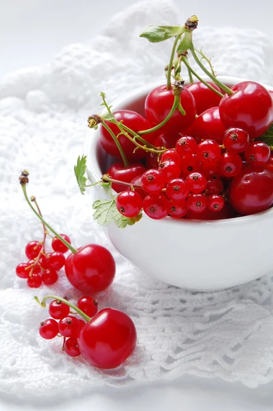 Cherries and red currants — Stock Photo, Image