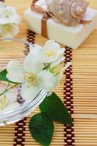 stock image Jasmine flowers