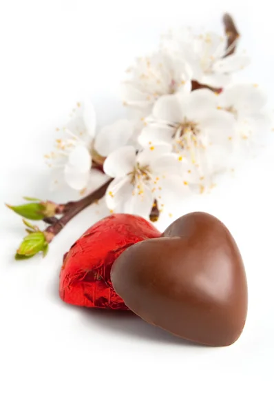 Chocolate in heart shape — Stock Photo, Image