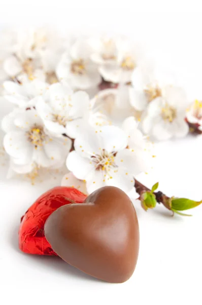 Σοκολάτα σε σχήμα καρδιάς — Φωτογραφία Αρχείου