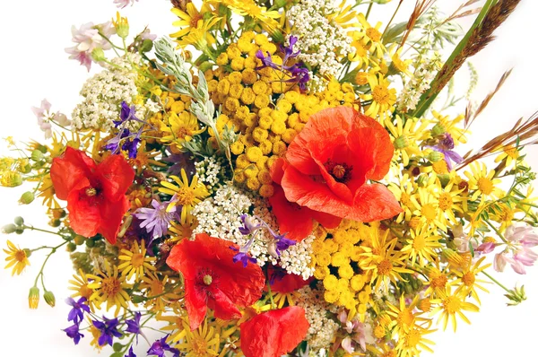 野の花の花束 — ストック写真